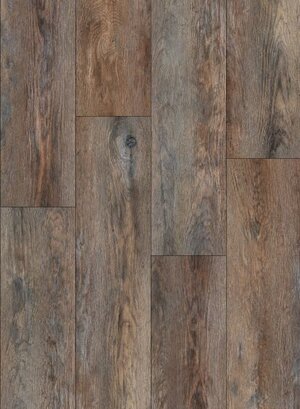 Bayou Magnolia Collection- Baton Rouge